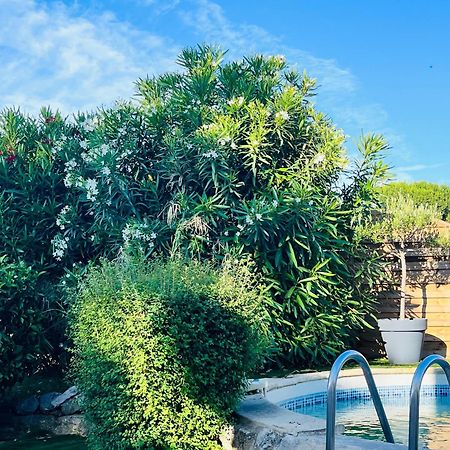 Piscine Cosy, 3 Chambres, 3 Sdb, Havre De Paix A 10 Min Des Plages Mauguio Dış mekan fotoğraf