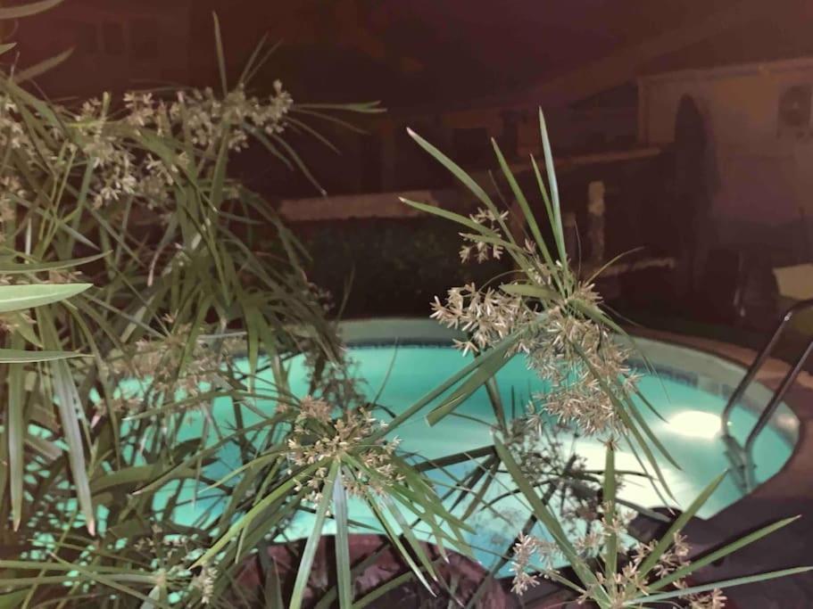 Piscine Cosy, 3 Chambres, 3 Sdb, Havre De Paix A 10 Min Des Plages Mauguio Dış mekan fotoğraf