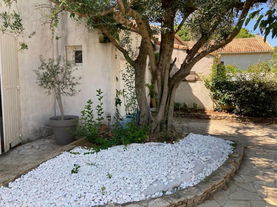Piscine Cosy, 3 Chambres, 3 Sdb, Havre De Paix A 10 Min Des Plages Mauguio Dış mekan fotoğraf